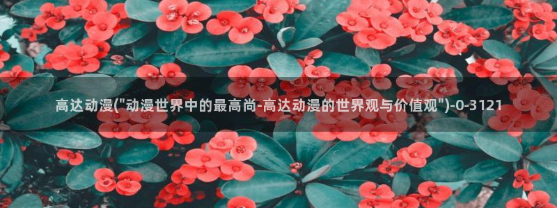 动漫美女比基尼:高达动漫(\